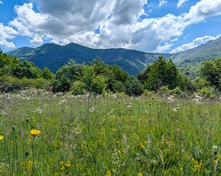 15-260619-p20260619 080029 471.MP