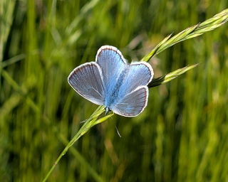 44-260621-j20260621 153057 036.NIGHT